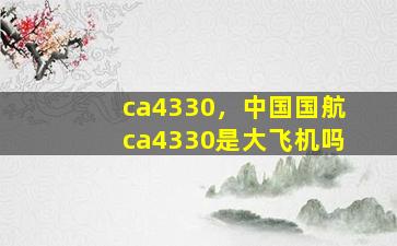 ca4330，*国航ca4330是大飞机吗