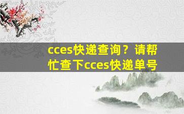 cces快递查询？请帮忙查下cces快递单号