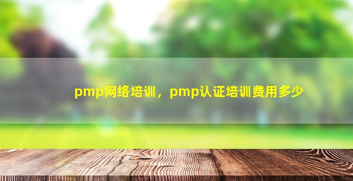 pmp网络培训，pmp认证培训费用多少插图