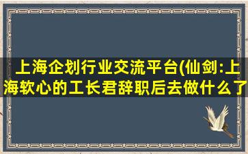 上海企划行业交流平台(仙剑：上海软心的工长君辞职后去做什么了)