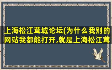 上海松江茸城论坛(为什么我别的网站我都能打开,就是上海松江茸城论坛打不开)插图