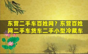 东营二手车百姓网？东营百姓网二手车货车二手小型冷藏车