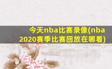 今天nba比赛录像(nba2020赛季比赛回放在哪看)