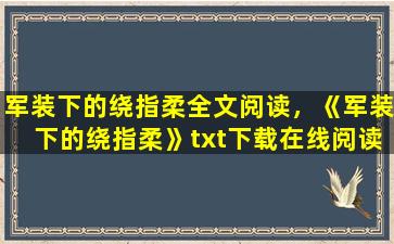 军装下的绕指柔全文阅读，《军装下的绕指柔》txt下载在线阅读全文,求百度网盘云资源