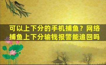 可以上下分的手机捕鱼？网络捕鱼上下分输钱报警能追回吗插图