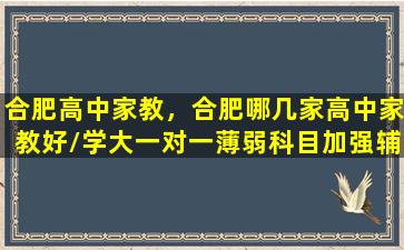 合肥高中家教，合肥哪几家高中家教好学大一对一薄弱科目加强辅导