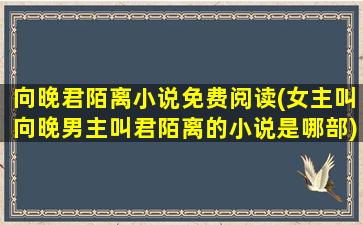 向晚君陌离小说免费阅读(*叫向晚男主叫君陌离的小说是哪部)