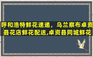 呼和浩特鲜花速递，乌兰察布卓资县花店鲜花配送,卓资县同城鲜花速递插图