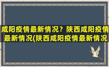 咸阳*最新情况？陕西咸阳*最新情况(陕西咸阳*最新情况最新消息)