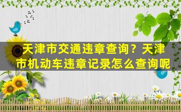 天津市交通违章查询？天津市机动车违章记录怎么查询呢插图