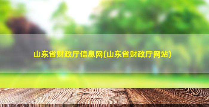 山东省财政厅信息网(山东省财政厅网站)