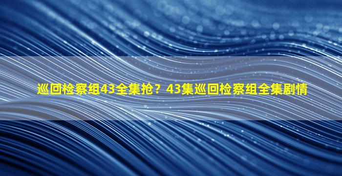 巡回检察组43全集抢？43集巡回检察组全集剧情插图