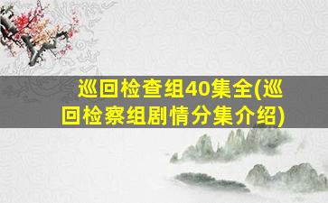 巡回检查组40集全(巡回检察组剧情分集介绍)