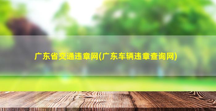 广东省交通违章网(广东车辆违章查询网)