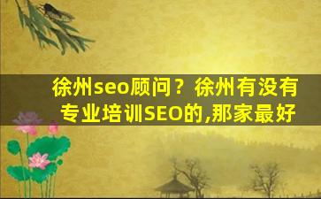 徐州seo顾问？徐州有没有专业培训SEO的,那家最好