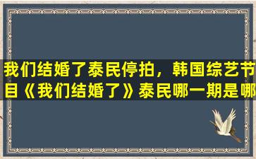 我们结婚了泰民停拍，韩国综艺节目《我们结婚了》泰民哪一期是哪年哪月哪号的插图