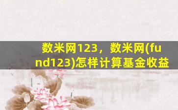 数米网123，数米网(fund123)怎样计算基金收益