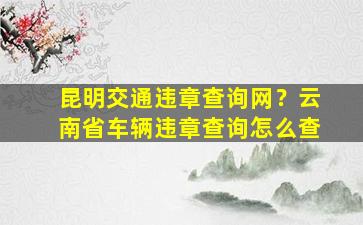 昆明交通违章查询网？云南省车辆违章查询怎么查