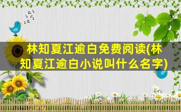 林知夏江逾白免费阅读(林知夏江逾白小说叫什么名字)插图