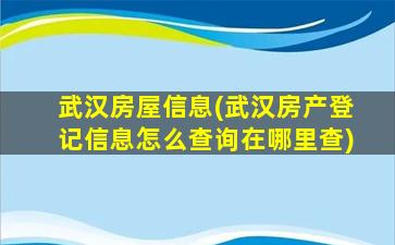 武汉房屋信息(武汉房产登记信息怎么查询在哪里查)