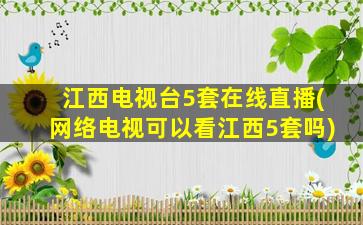 江西电视台5套在线直播(网络电视可以看江西5套吗)插图