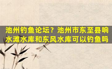 池州钓鱼论坛？池州市东至县响水滩水库和东风水库可以钓鱼吗