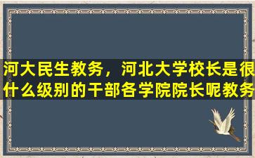 河大民生教务，河北大学校长是很什么级别的干部各学院院长呢教务处呢插图