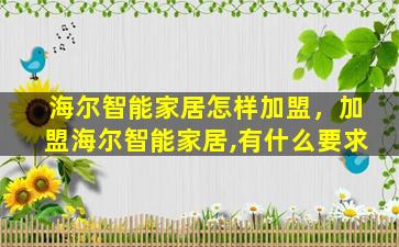 海尔智能家居怎样加盟，加盟海尔智能家居,有什么要求