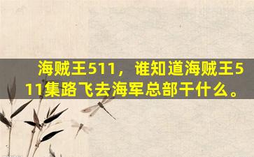 海贼王511，谁知道海贼王511集路飞去*总部干什么。