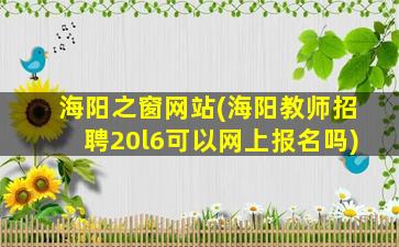 海阳之窗网站(海阳教师招聘20l6可以网上报名吗)插图