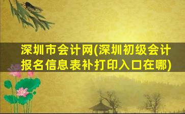 深圳市会计网(深圳初级会计报名信息表补打印入口在哪)