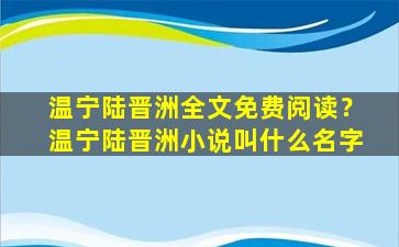 温宁陆晋洲全文免费阅读？温宁陆晋洲小说叫什么名字插图