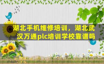 湖北手机维修培训，湖北武汉万通plc培训学校靠谱吗插图