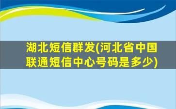 湖北短信群发(河北省*联通短信中心号码是多少)