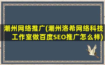 潮州网络推广(潮州洛希网络科技工作室做百度SEO推广怎么样)