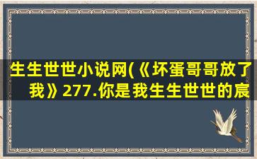 生生世世小说网(《坏蛋哥哥放了我》277.你是我生生世世的宸洛(番外))