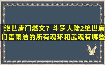 绝世唐门燃文？斗罗大陆2绝世唐门霍雨浩的所有魂环和武魂有哪些插图