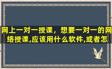 网上一对一授课，想要一对一的网络授课,应该用什么软件,或者怎么*作