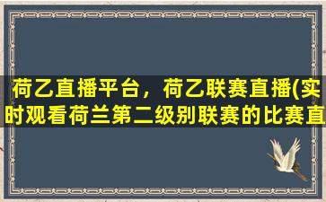 荷乙直播平台，荷乙联赛直播(实时观看荷兰第二级别联赛的比赛直播)