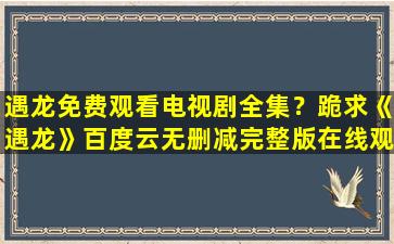 遇龙免费观看电视剧全集？跪求《遇龙》百度云无删减完整版在线观看,闵国辉导演的