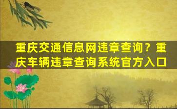 重庆交通信息网违章查询？重庆车辆违章查询系统官方入口