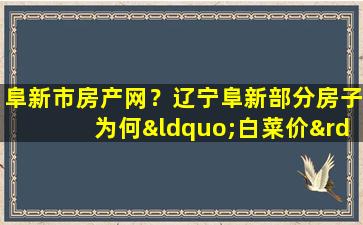 阜新市房产网？辽宁阜新部分房子为何“白菜价”*