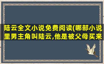 陆云全文小说免费阅读(哪部小说里男主角叫陆云,他是被父母买来的)