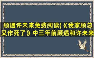 顾遇许未来免费阅读(《我家顾总又作*了》中三年前顾遇和许未来有什么误会)