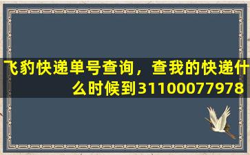 飞豹快递单号查询，查我的快递什么时候到3110007797891韵达快递单号查询