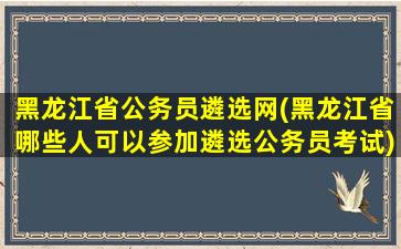 黑龙江省公务员遴选网(黑龙江省哪些人可以参加遴选公务员考试)